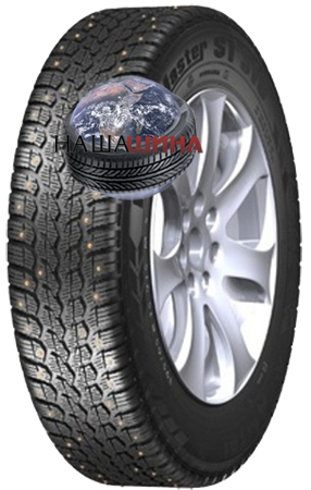 ���� ����� Cargo AS