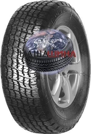 ���� ����� 11�