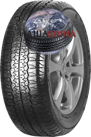 ���� ����� 14�