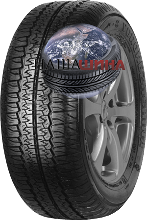 ���� ����� 19�