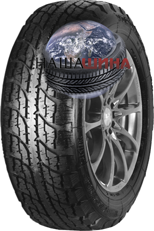 ���� ����� 31�