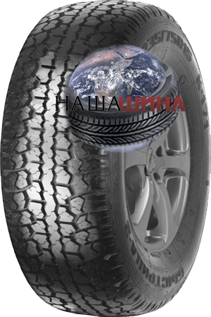 ���� ����� ��������-2