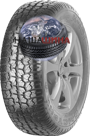 ���� ����� ��������