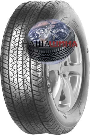 ���� ����� �������