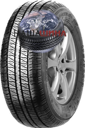 ���� ����� ���-391