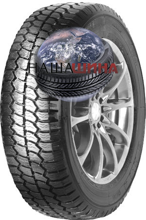 ���� ����� ��-14