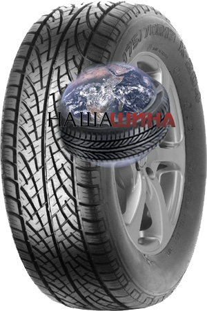 ���� ����� �����