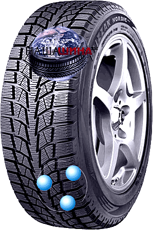 Bridgestone Blizzak Nordic (���������� ������ ������)