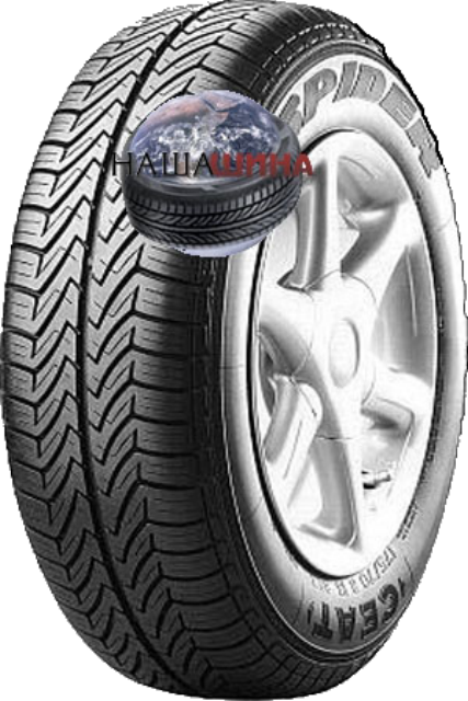 Ceat Spider  (���� �������)