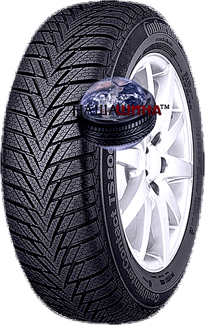 Continental ContiWinterContact TS 800 (    TS 800 )