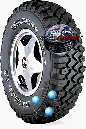 Dean Wildcat-EXT-Radial-LT( ��� ��������-�����-�������-��)