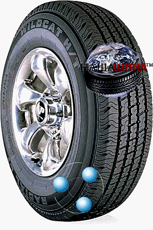 Dean Wildcat-HT-Radial-LT( ��� ��������-���-�������-��)