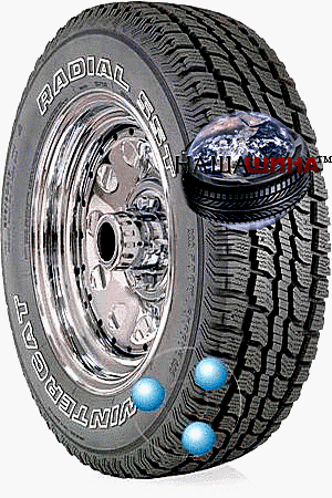 Dean Wintercat-Radial-SST( ��� ��������-�������-���)