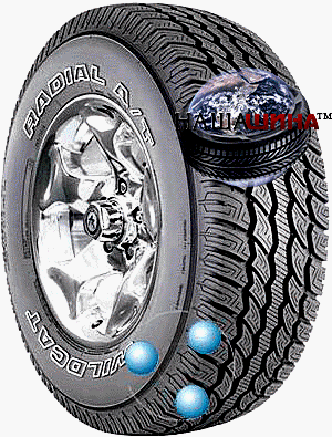 Dean Wildcat-touring-radial-at( ��� ��������-�������-�������-��)