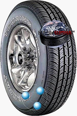 Dean Wildcat-touring-slt( ��� ��������-�������-���)