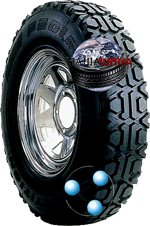 Fedima Competition FA2(   2)
