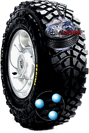Fedima Extreme Evolution(   )