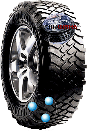 Fedima F/OR Evolution(  / )