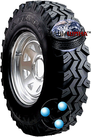 Fedima Maxima(  )