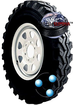 Fedima SAT(  )