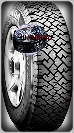 Fulda Conveo Trans (����� ������ �����)