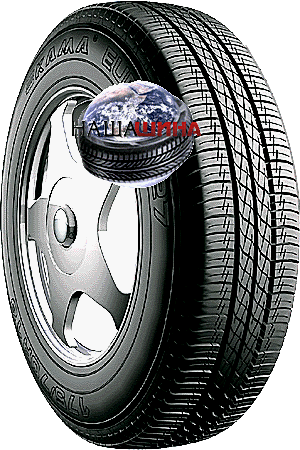 ���� ���� - 127