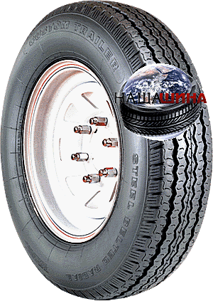 Mastercraft Custom Trailer(   )