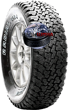 Nexen (Roadstone) Radial A/T SV( ( )  A/T )