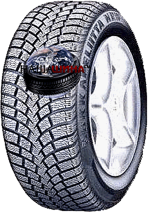 Nokian Hakkapeliitta NRW (  )