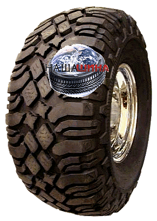 Pit Bull Maddog(��� ���� ������)