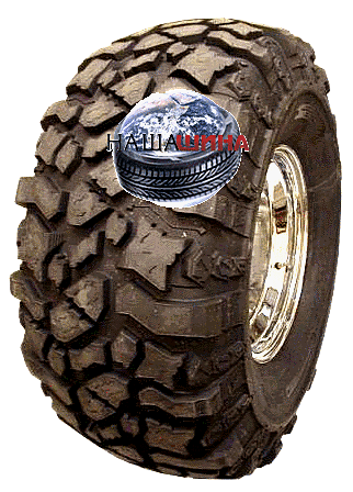 Pit Bull Rocker (��� ���� ����� )