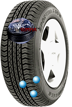 Sportiva G65H ( �������� �65�)