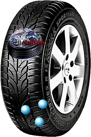 Sportiva Snow Win ( �������� ���� ���)