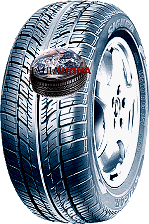 Tigar Sigura Stud (����� ѳ���� ����)