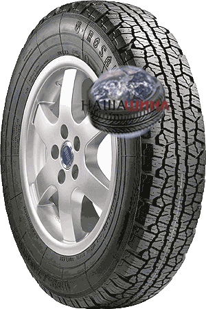 ������ �� - 6 (Rosava BC - 6)